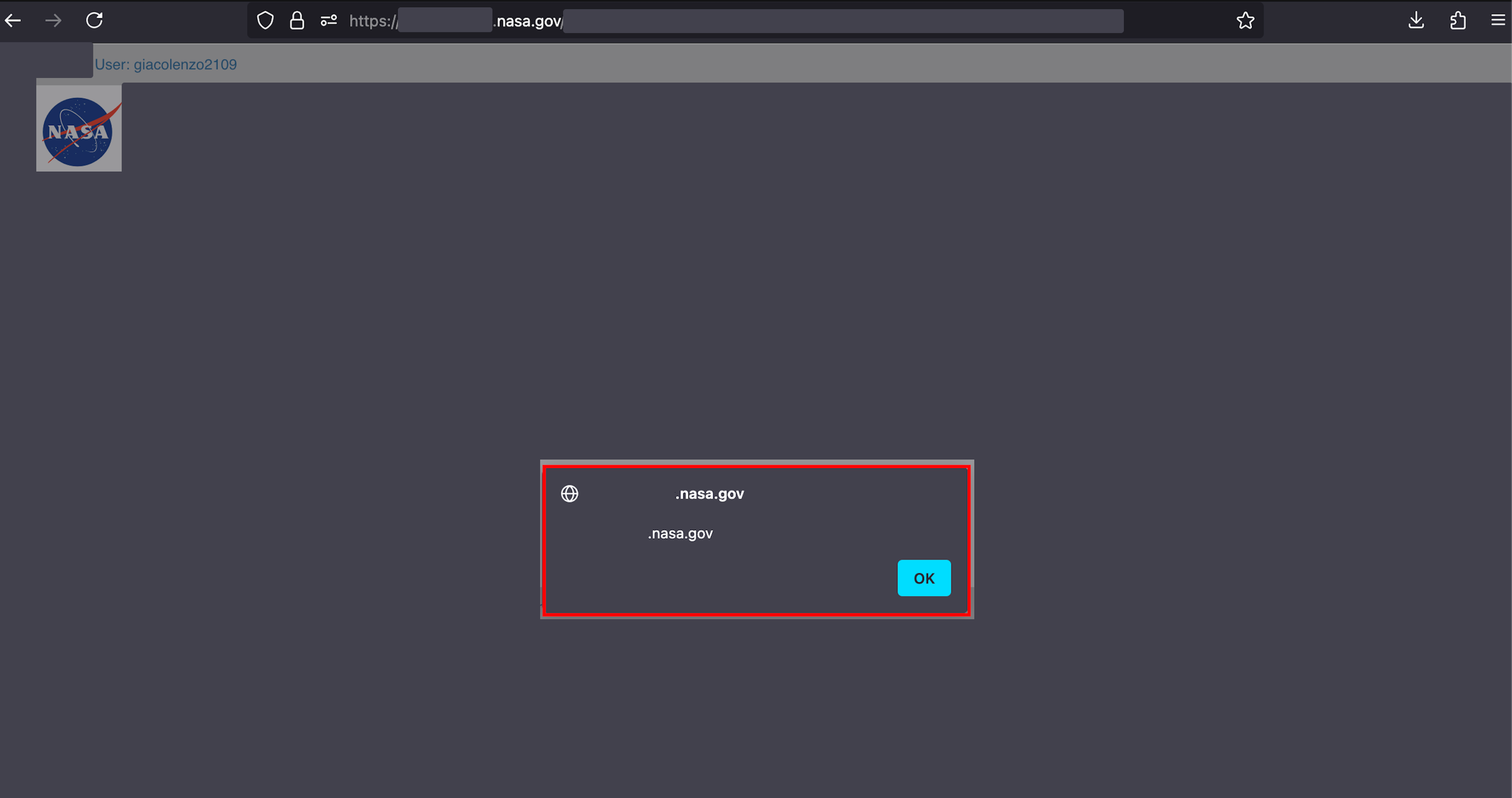 XSS